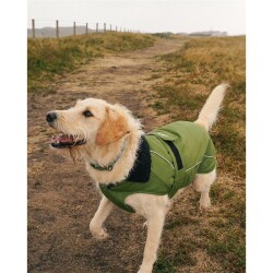 DRYROBE Dog Coat Hundemantel Dunkelgrün Schwarz L