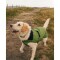 DRYROBE Dog Coat Hundemantel Dunkelgrün Schwarz L
