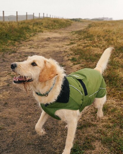 DRYROBE Dog Coat Hundemantel Dunkelgrün Schwarz XS