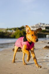 DRYROBE Dog Coat Hundemantel Pink Schwarz XXL