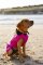 DRYROBE Dog Coat Hundemantel Pink Schwarz L