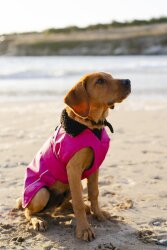 DRYROBE Dog Coat Hundemantel Pink Schwarz S