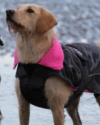 DRYROBE Dog Coat Hundemantel Schwarz Camo Pink XXL
