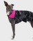 DRYROBE Dog Coat Hundemantel Schwarz Camo Pink XXL