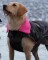 DRYROBE Dog Coat Hundemantel Schwarz Camo Pink XXL