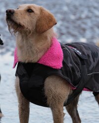 DRYROBE Dog Coat Hundemantel Schwarz Camo Pink XL