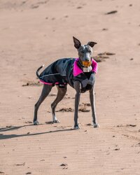 DRYROBE Dog Coat Hundemantel Schwarz Camo Pink S