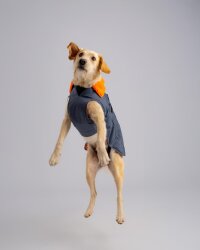 DRYROBE Dog Coat Hundemantel Grau Orange XS