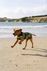 DRYROBE Dog Coat Hundemantel Grün Camo S