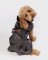 DRYROBE Dog Coat Hundemantel Schwarz Camo XS