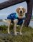 DRYROBE Dog Coat Hundemantel Blau Camo XXL