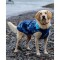 DRYROBE Dog Coat Hundemantel Blau Camo XXL