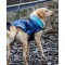 DRYROBE Dog Coat Hundemantel Blau Camo L