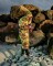 DRYROBE Advance Long Sleeve Grün Camo Pink M REMIX