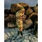 DRYROBE Advance Long Sleeve Grün Camo Pink S REMIX