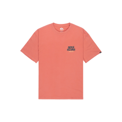Quiksilver Fruits Tide SS Shirt Dessert Sand