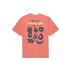 Quiksilver Fruits Tide SS Shirt Dessert Sand