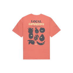 Quiksilver Fruits Tide SS Shirt Dessert Sand