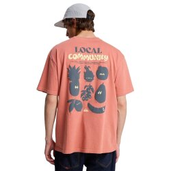 Quiksilver Fruits Tide SS Shirt Dessert Sand