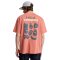 Quiksilver Fruits Tide SS Shirt Dessert Sand