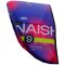 Naish Pivot LTD Kite 2026