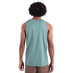 Oxbow Tarcel Tank Cactus