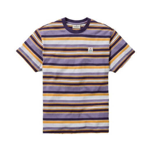 Passenger Clothing Wild Pine Stripe T-Shirt Heather Multi Stripe
