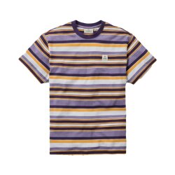 Passenger Clothing Wild Pine Stripe T-Shirt Heather Multi...