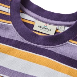 Passenger Clothing Wild Pine Stripe T-Shirt Heather Multi Stripe