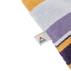 Passenger Clothing Wild Pine Stripe T-Shirt Heather Multi Stripe