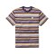 Passenger Clothing Wild Pine Stripe T-Shirt Heather Multi Stripe