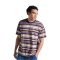 Passenger Clothing Wild Pine Stripe T-Shirt Heather Multi Stripe