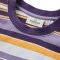 Passenger Clothing Wild Pine Stripe T-Shirt Heather Multi Stripe