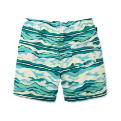 Passenger Clothing Drfiter Beach Lined Boardshort Reflection Birch
