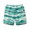 Passenger Clothing Drfiter Beach Lined Boardshort Reflection Birch