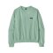 Patagonia Ws Daily Crew Sweatshirt Thin Ice
