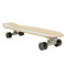Carver Bing Continental 37" Surfskate Komplettboard CX/C7