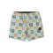 Vissla Seaside 16.5 Ecology Center Boardshort Ecolastic Multi