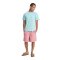 Quiksilver Taxer WS 19 Walkshorts Desert Sand