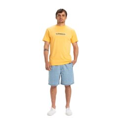 Quiksilver Taxer Denim Walkshorts 2001 Stone Wash