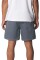 Katin Ward Short Tempest Blue