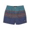 Billabong Boys Boardshort Spinner LB Charcoal Grey