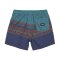 Billabong Boys Boardshort Spinner LB Charcoal Grey