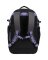 Billabong Headland Pack Boardcatcher Rucksack Pew