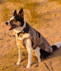 DRYROBE Dog Coat Hundemantel Sand Camo XL