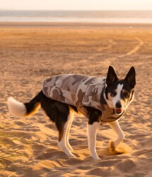 DRYROBE Dog Coat Hundemantel Sand Camo L