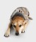 DRYROBE Dog Coat Hundemantel Sand Camo L