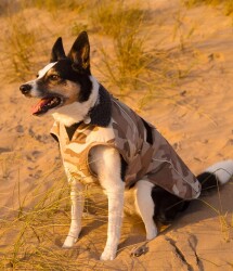 DRYROBE Dog Coat Hundemantel Sand Camo M