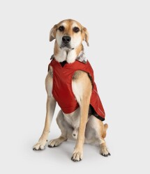 DRYROBE Dog Coat Hundemantel Burnt Orange L
