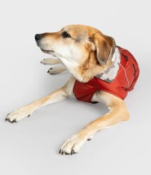 DRYROBE Dog Coat Hundemantel Burnt Orange XS